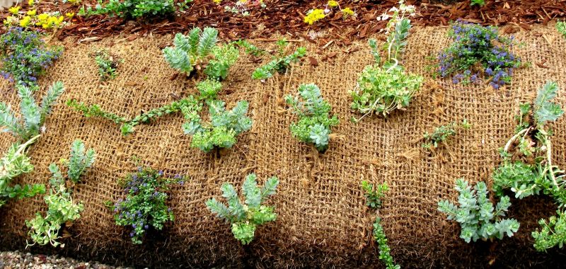 Erosion Control Blankets