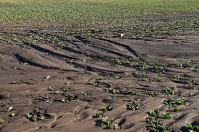 Keep Your Property Free of Erosion!